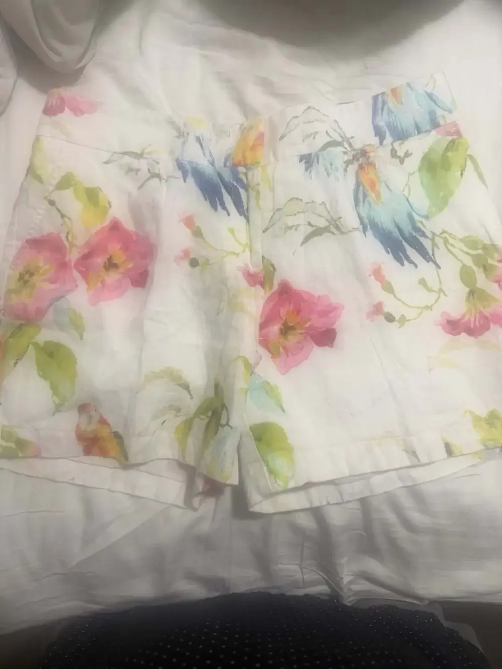 Tommy Bahama Floral Parrot Print Casual Women's Shorts Size 6